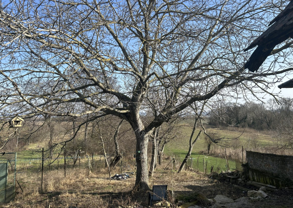 HOMreal.sk | REZERVOVANÝ